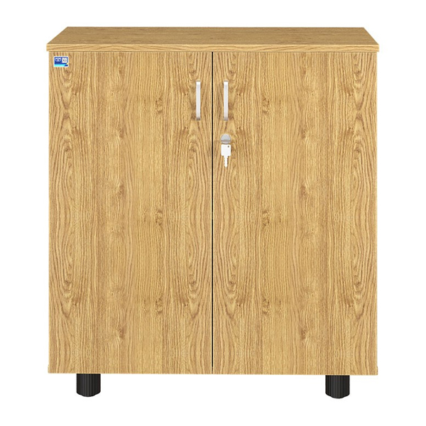 Tủ tài liệu thấp AT880DR - ảnh 2