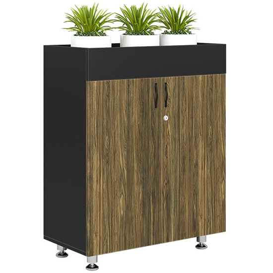 Tủ tài liệu văn phòng BRI1000-2T2