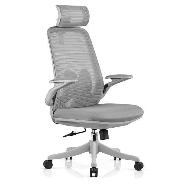 Ghế công thái học FMX627 - ảnh 2