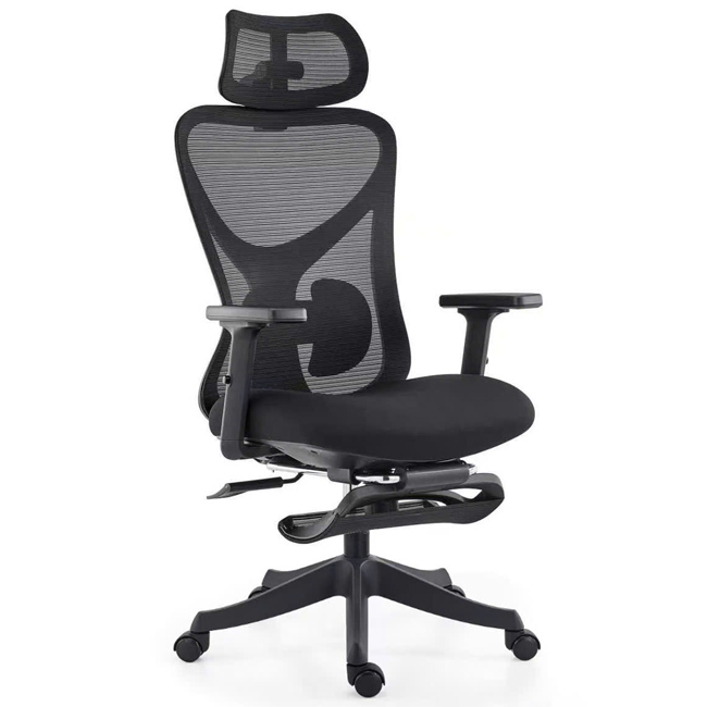 Ghế Lưới Công Thái Học FMX822C