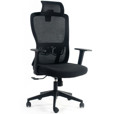 Ghế công thái học FMX836TD