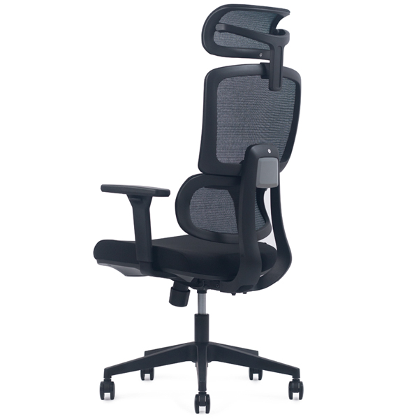 Ghế công thái học lưng lưới FMX827 - ảnh 5