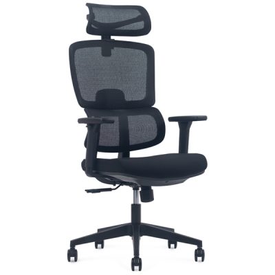 Ghế công thái học lưng lưới FMX827