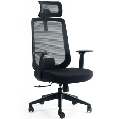 Ghế văn phòng lưng lưới FMX825