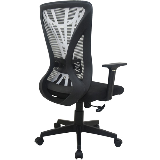 Ghế lưới hỗ trợ lưng GL222 - ảnh 2