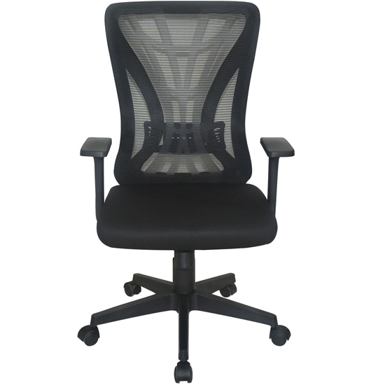 Ghế lưới hỗ trợ lưng GL222 - ảnh 3