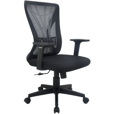 Ghế lưới hỗ trợ lưng GL222