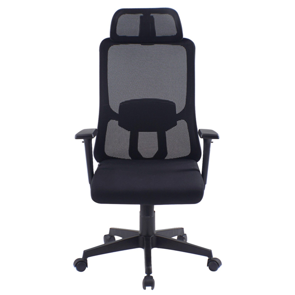 Ghế Lưới Lãnh Đạo Cao Cấp GL356 - ảnh 2