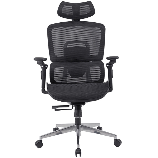 Ghế công thái học cao cấp GLE12-2 - ảnh 3