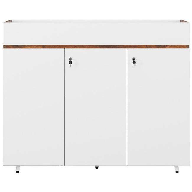 Tủ cây văn phòng LUX1000-3T2 - ảnh 2