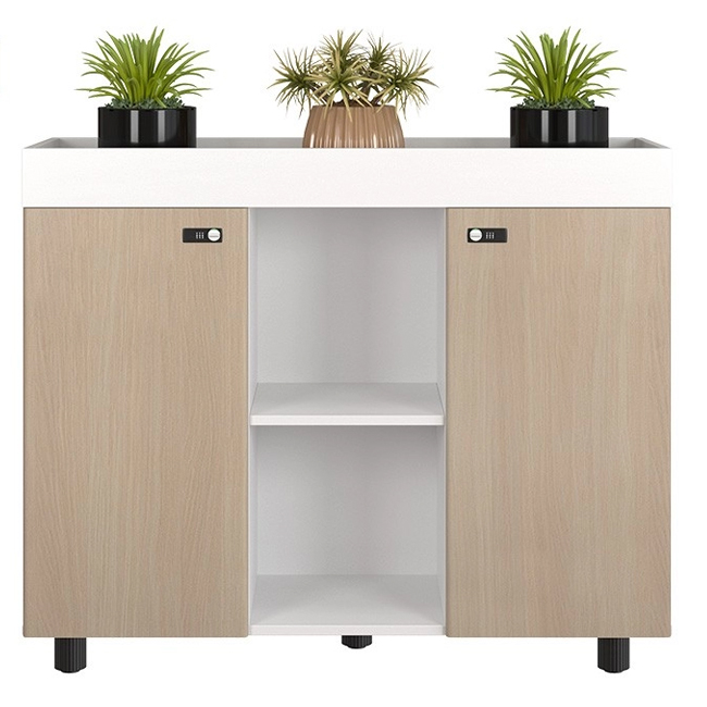 Tủ Hồ Sơ Thấp NTV1000-3T2 - ảnh 2