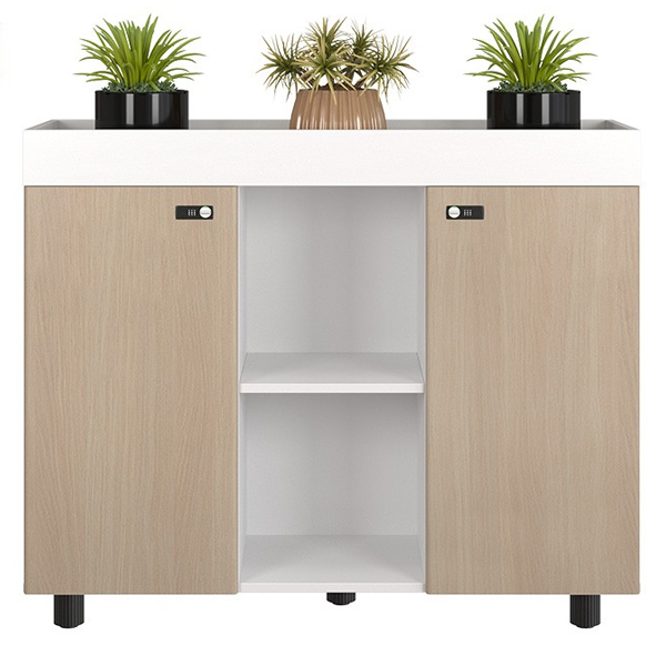 Tủ tài liệu thấp Hòa Phát NT1000-3T2 - ảnh 2