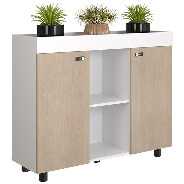 Tủ tài liệu thấp Hòa Phát NT1000-3T2