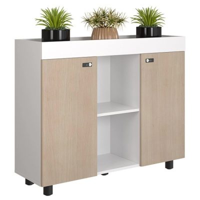 Tủ Hồ Sơ Thấp NTV1000-3T2