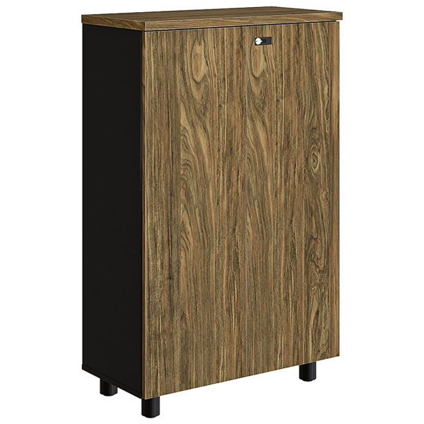 Tủ tài liệu thấp Hòa Phát NTV1260D - ảnh 3