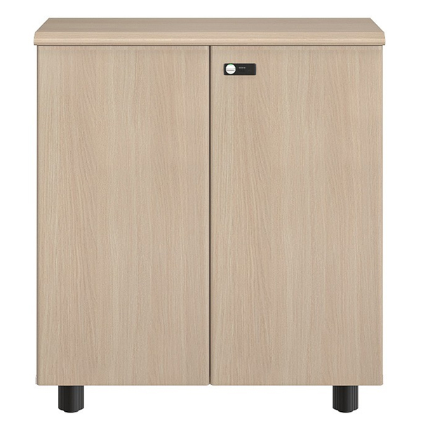 Tủ tài liệu thấp Hòa Phát NTV880D - ảnh 3