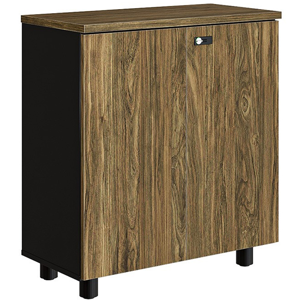 Tủ tài liệu thấp Hòa Phát NTV880D - ảnh 2