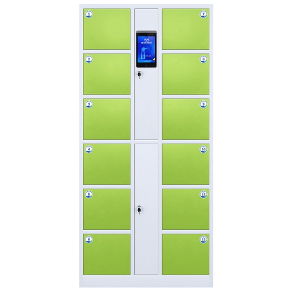 Tủ Locker Thông Minh 12 Ngăn SLC01DL - ảnh 2