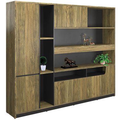 Tủ lãnh đạo cao cấp ST2420