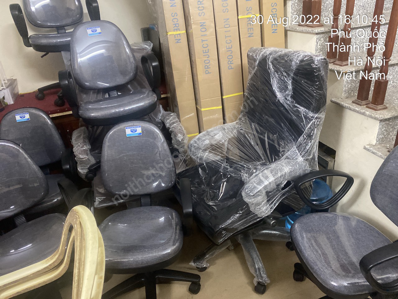 ghế SG550 H&ograve;a Ph&aacute;t
