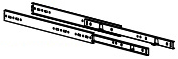 ray bi 300