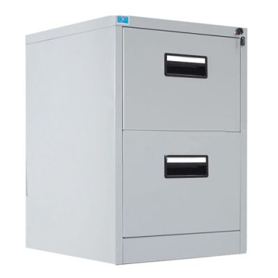 Tủ File tài liệu 2 ngăn TU2F